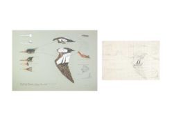 Valentine Stewart 'Pat' PATON (1925-2012) Red-Breasted Merganser