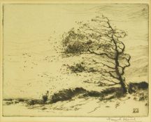 Frank MOORE (1876 - ?) Wind Torn Tree