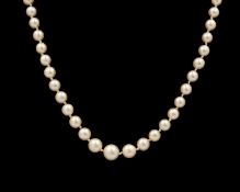 A graduated cultured white pearl necklace fitted with a 9k gold clasp.