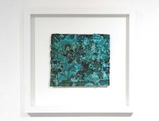 Lynette PIERCE Lichen