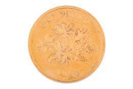 1981 Guernsey £1 proof coin, 22ct gold, diameter 22 mm, 16 grams, boxed with papers.