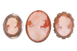 Three shell cameo brooches; in various sizes, all in gilt mounts and fittings; largest measuring 4.2