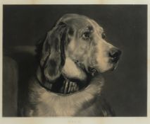 After Sir Edwin Henry Landseer, R. A. (1802-1873)