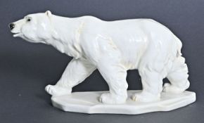 Eisbär / polar bear