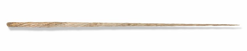 Y A NARWHAL TUSK