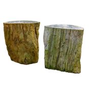 TWO PART POLISHED PETRIFIED WOOD STOOLS