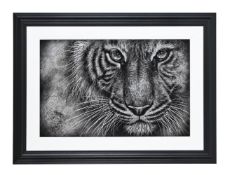 λ COLIN BANKS (BRITISH 21ST CENTURY), TIGER