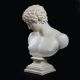 A PAINTED PLASTER BUST OF ANTINOUS, 20TH CENTURY - Image 3 of 4