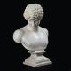 A PAINTED PLASTER BUST OF ANTINOUS, 20TH CENTURY - Image 2 of 4