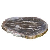 A POLISHED PETRIFIED WOOD TABLE TOP