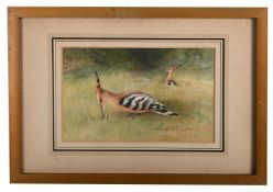 CHARLES WHYMPER (BRITISH 1853-1941), TWO HOOPOE BIRDS