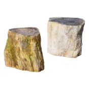 TWO PART POLISHED PETRIFIED WOOD STOOLS