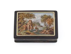 Y A TORTOISESHELL AND MICROMOSAIC BOX