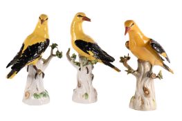 A GROUP OF THREE MEISSEN MODELS OF GOLDEN ORIOLES, LATE 19TH CENTURY