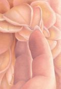 Ariane Hughes, Gently Does It, 2025