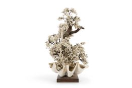 Y TWO LARGE SHELL WORK DISPLAYS, MID 20TH CENTURY