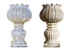 A PAIR OF INDIAN WHITE MARBLE LOTUS LEAF URNS ON PEDESTALS, LATE 20TH CENTURY