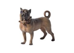 A GERMAN COLD PAINTED TERRACOTTA MODEL OF A PUG, LATE 19TH CENTURY