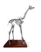 JAMES PERKINS STUDIO, THE MODEL