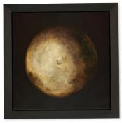 JAMES PERKINS, DARK SIDE OF THE MOON