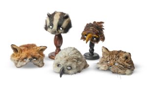Y JAMES PERKINS STUDIO, WILD THINGS