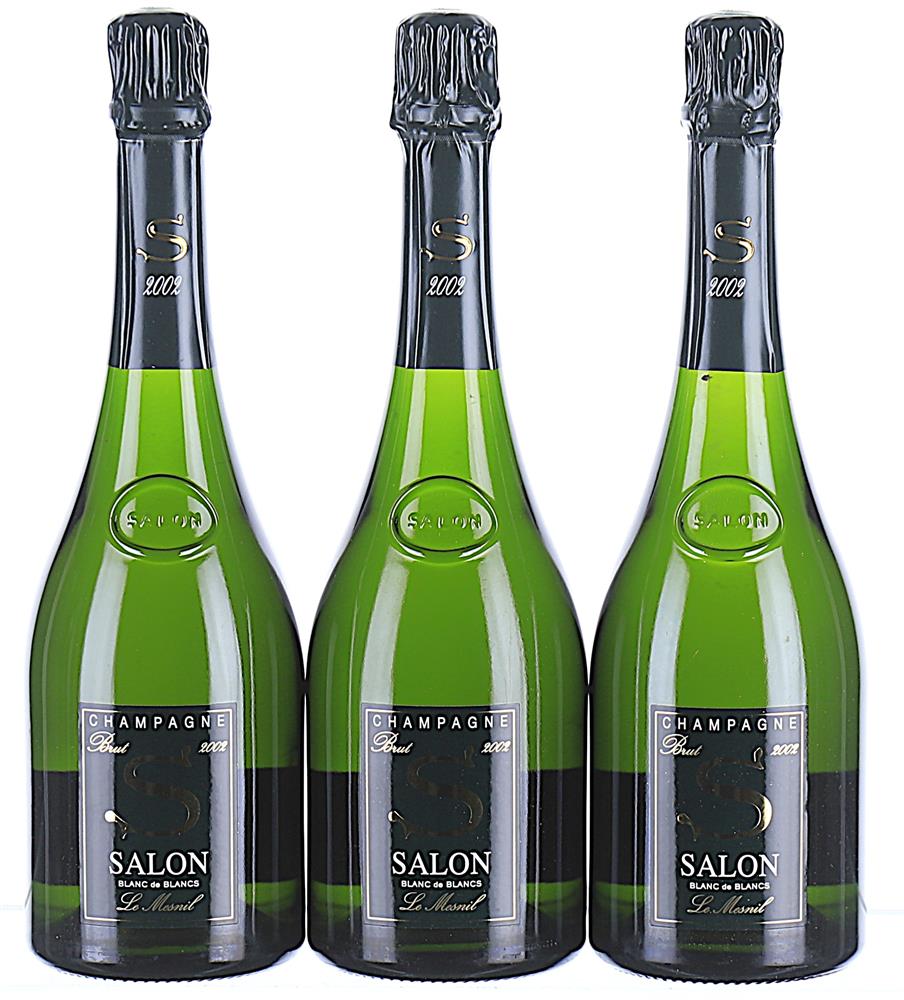 2002 Salon, Le Mesnil
