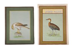 INDO-PERSIAN SCHOOL (LATE 19TH/EARLY 20TH CENTURY), TWO MINIATURES OF BIRDS