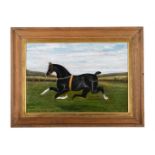 A. HEMSLEY (BRITISH LATE 19TH CENTURY), A BLACK HORSE, POSSIBLY THE HACKNEY STALLION, LANGTON DUKE