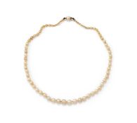 A NATURAL PEARL NECKLACE