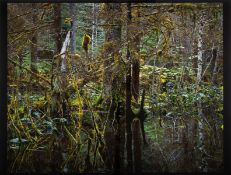 Robert Glenn Ketchum (b. 1947) Kadachav II (Blackwater), from Columbus - In Search of a New Tomorrow