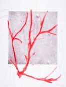 λ Mimmo Paladino (b.1948) Untitled (Martino 189), from Columbus - In Search of a New Tomorrow