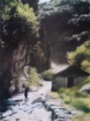 λ Gerhard Richter (b.1932) 837-1 Ravine: Marian Goodman Gallery Exhibition Poster