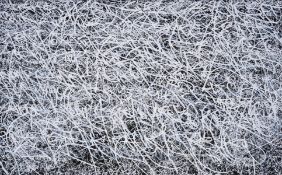 λ José Parlá (b.1973) The Founders