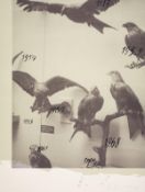 Andrei Roiter (b.1960) Untitled, from Columbus - In Search of a New Tomorrow