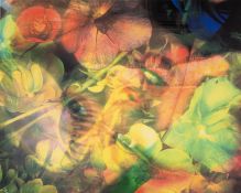 λ Mat Collishaw (b.1966) Flesh Eater 4