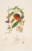 λ Salvador Dalí (1904-1989) Pêcher Pénitant, from Flordali (Field 69-11E; M&L 348c)