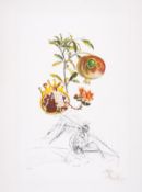 λ Salvador Dalí (1904-1989) Grenade et l’Ange from FlorDalí (Field 69-11L ; M&L 355)