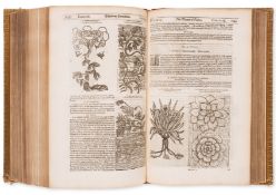 θ Botany.- Parkinson (John) Theatrum Botanicum: The Theater of Plants, or, an Herball of a Large …