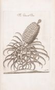 θ Barbados.- Abbey copy.- Ligon (Richard) A True & Exact History Of the Island of Barbadoes, …