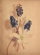 λ SIR STANLEY SPENCER (BRITISH 1891-1959), STUDY OF FLOWERS