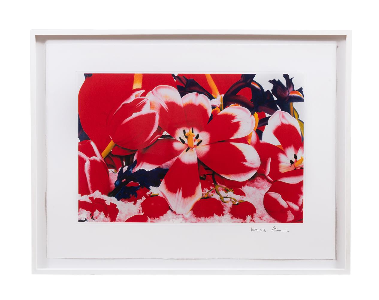 λ MARC QUINN (BRITISH B. 1964) FLOWERS, SET OF THREE - Image 3 of 4