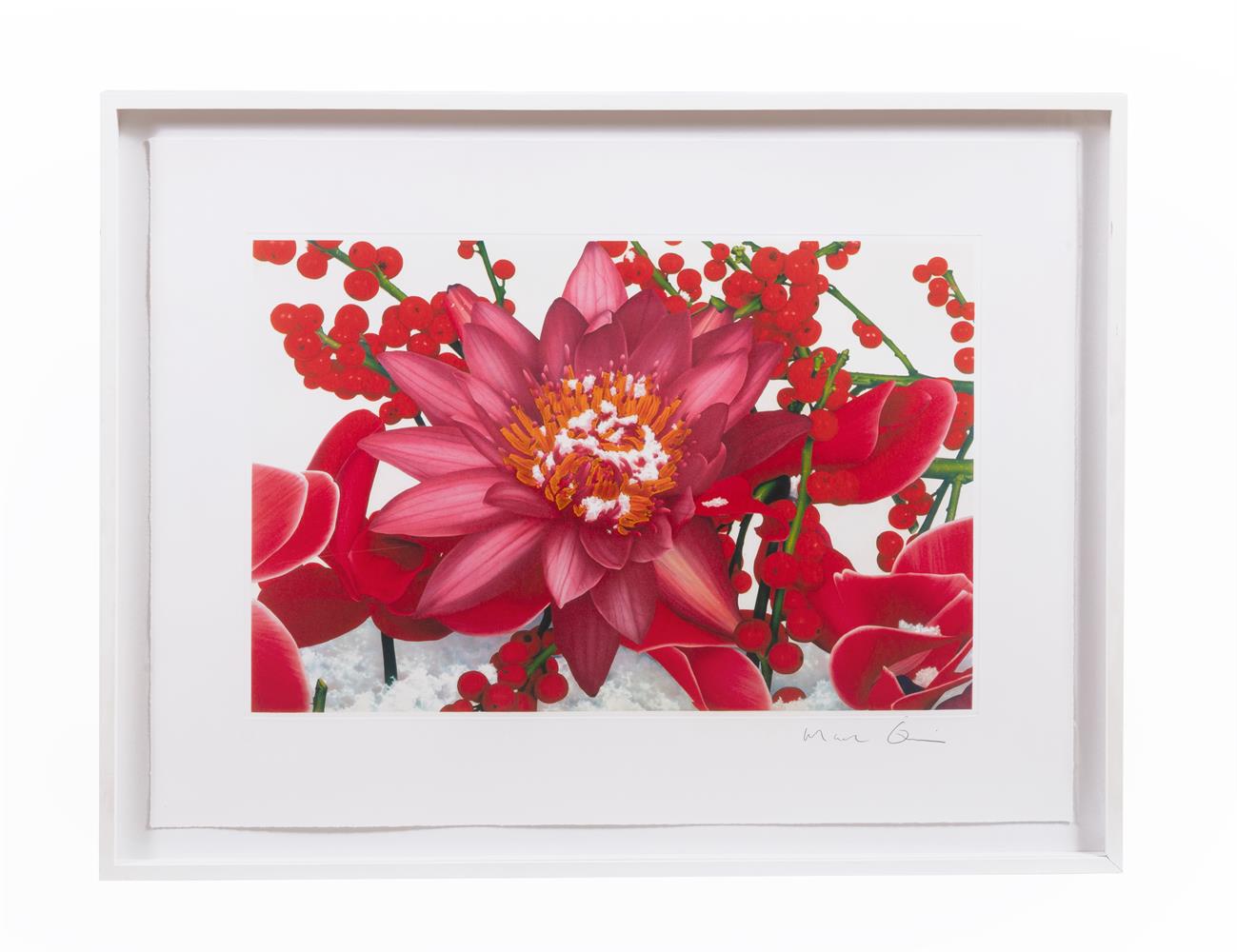 λ MARC QUINN (BRITISH B. 1964) FLOWERS, SET OF THREE - Image 2 of 4