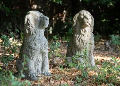 A PAIR OF CARVED STONE MODELS OF SEATED DOGS, 20TH CENTURY