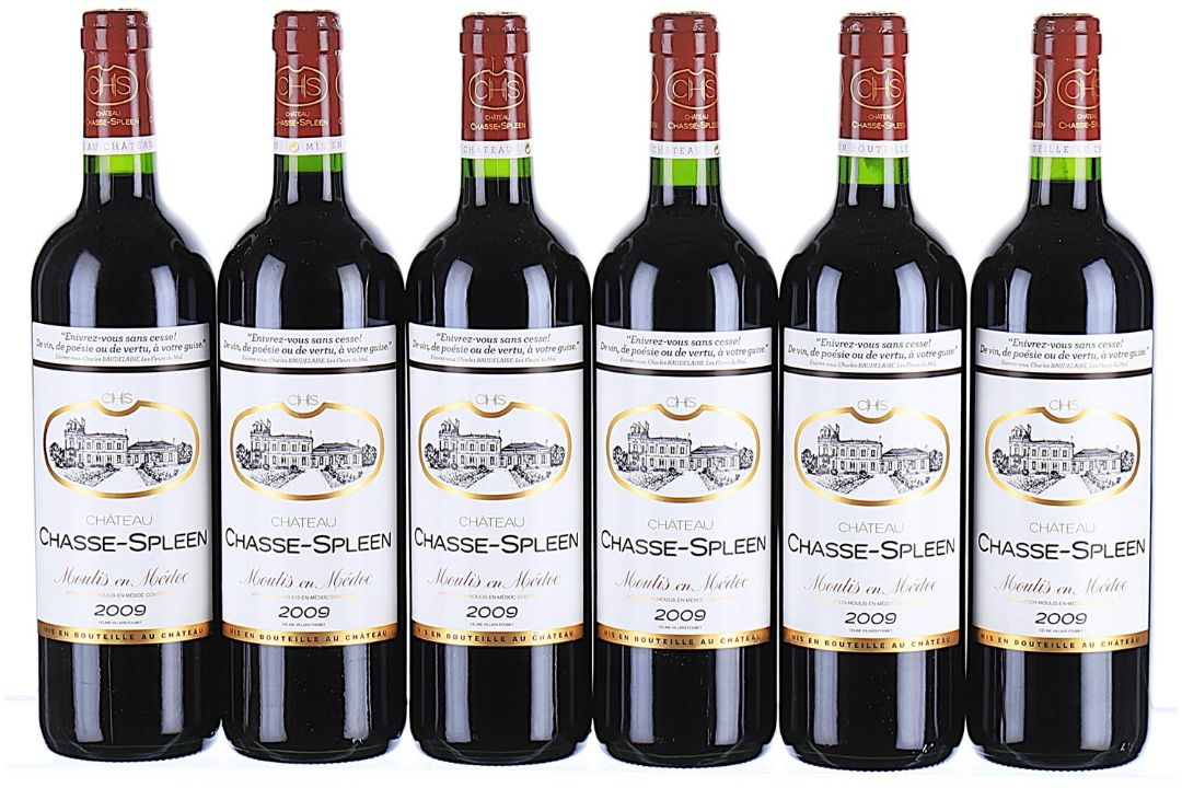 2009 Chateau Chasse-Spleen, Moulis en Medoc