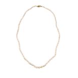 A PEARL NECKLACE
