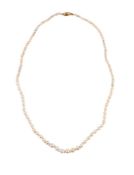 A PEARL NECKLACE
