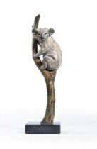 HAMISH MACKIE (BRITISH B. 1973), KOALA