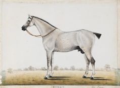 FOLLOWER OF SHEIKH MUHAMMAD AMIR OF KARRAYA (CIRCA 1830-40), CONTRACT: A FLEA-BITTEN ARAB STALLION
