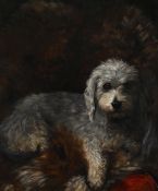 L. MAGILL (BRITISH ACTIVE 1891 - 1900), A FAVOURITE DOG