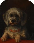 VALENTINE THOMAS GARLAND (BRITISH 1868-1914), AN ATTENTIVE DANDIE DINMONT